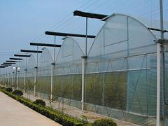 哪里有提供创新型的玻璃温室|温室工程建设