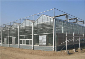 寿光蔬菜温室大棚【玻璃板温室建造】玻璃板温室造价【这里有优惠】