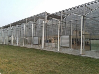 台州玻璃温室大棚工程