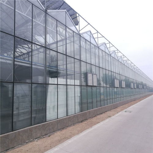 玻璃温室大棚建造 连栋花卉玻璃大棚 承建温室工程